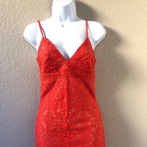 Lace Club Dress